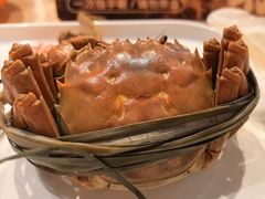 -杨氏青龙虾·羊蝎子(珠江路店)
