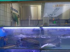 -老福耶小草帽石锅鱼(奥体店)