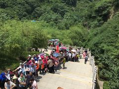 -少华山国家森林公园