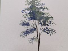 -青沐画室·专业美术培训