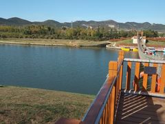 -羊亭河湿地公园