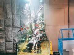 -甄花精致料理自助(城市阳台店)