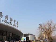 -小吊梨汤·北京菜·烤鸭(鸟巢店)