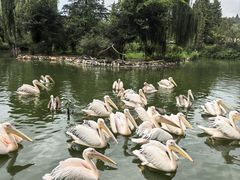 -云南野生动物园