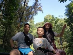 -南宁良凤江国家森林公园