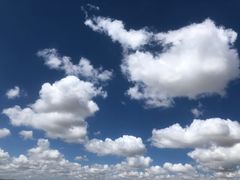 -希拉穆仁草原