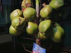 -湛江渔港·大排档(乐园路总店)