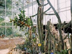 -国家植物园南园