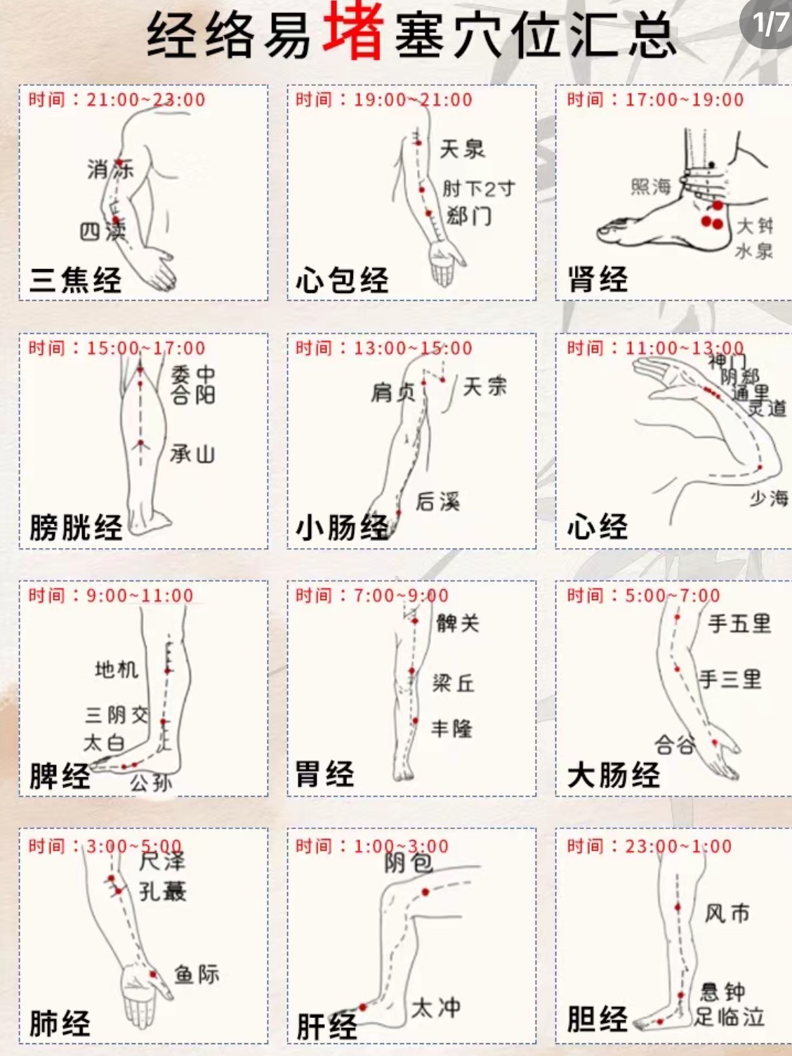 大腿内侧经络疼图片