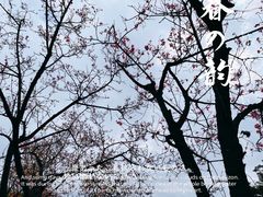 -东莞植物园
