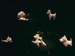 -上海当代艺术博物馆