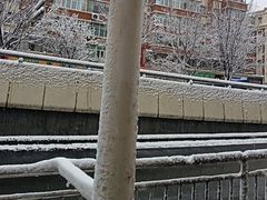 -海尔巴格一甸茶餐厅(团结路店)