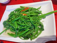 佛手瓜苗-粤北餐馆