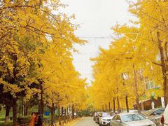 -沙河三洞古桥公园