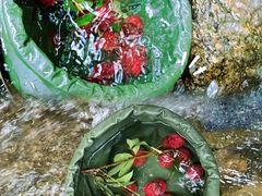 -南平静修小镇水芳阁餐厅