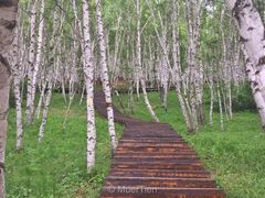 -塞罕坝国家级自然保护区