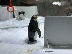 -郑州海洋馆