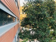 -星巴克(上海交通大学店)