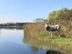 -溱湖国家湿地公园