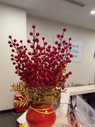 -上海玫瑰医疗美容医院