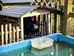 -三分地生态园·儿童乐园