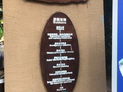 -亚马逊丛林水乐园