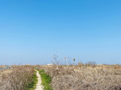 -南汇嘴观海公园