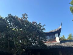 -秋霞圃