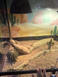 -酷嗒动物文化乐园(cutezoo西溪乐天城店)