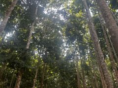-中国科学院西双版纳热带植物园
