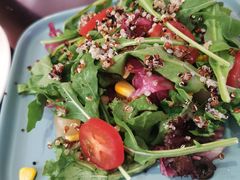 百好乐沙拉-百好乐宠物友好餐厅(朝外大街店)