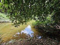 -滴水岩森林公园