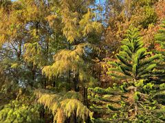 -鱼你在一起(福田安吉尔店)