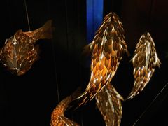 -澜棠海鲜(余姚阳明古镇店)