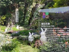 -深圳仙湖植物园
