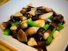 青椒鸡纵菌-马旺子酒楼