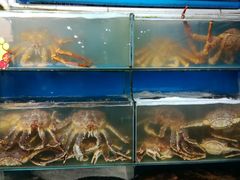 -蚝专家(北滘店)
