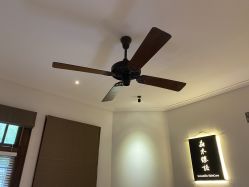-晶禾臻语·问题肌研究所