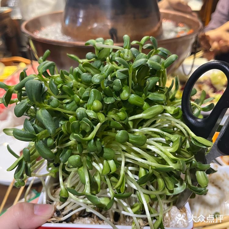 吃正宗老北京铜锅涮肉来『京晟』准没错❗️