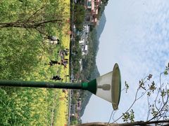 -红山村