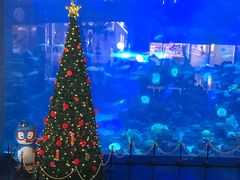 -成都浩海立方海洋公园