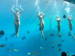 -瑞德姆美人鱼海底演艺主题餐厅(亚龙湾店)