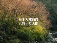 -郭阿姨月亮馍