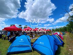 -春花秋色城市公园