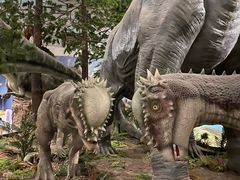 -湖南省地质博物馆