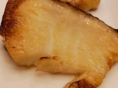 -一本钓鲔鱼屋