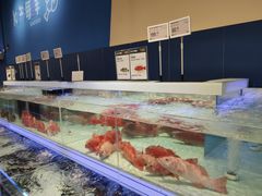 -盒马X会员店(上海森兰商都店)