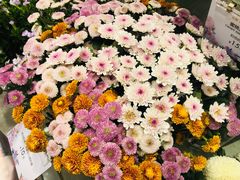 -花邻FloweringLife花艺气球派对(武康大楼店)