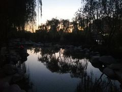 -西安青龙寺遗址景区