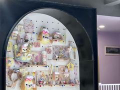 -毛绒耶耶撸宠馆·猫咖·狗咖·荷兰猪咖